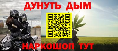 стаф Можга