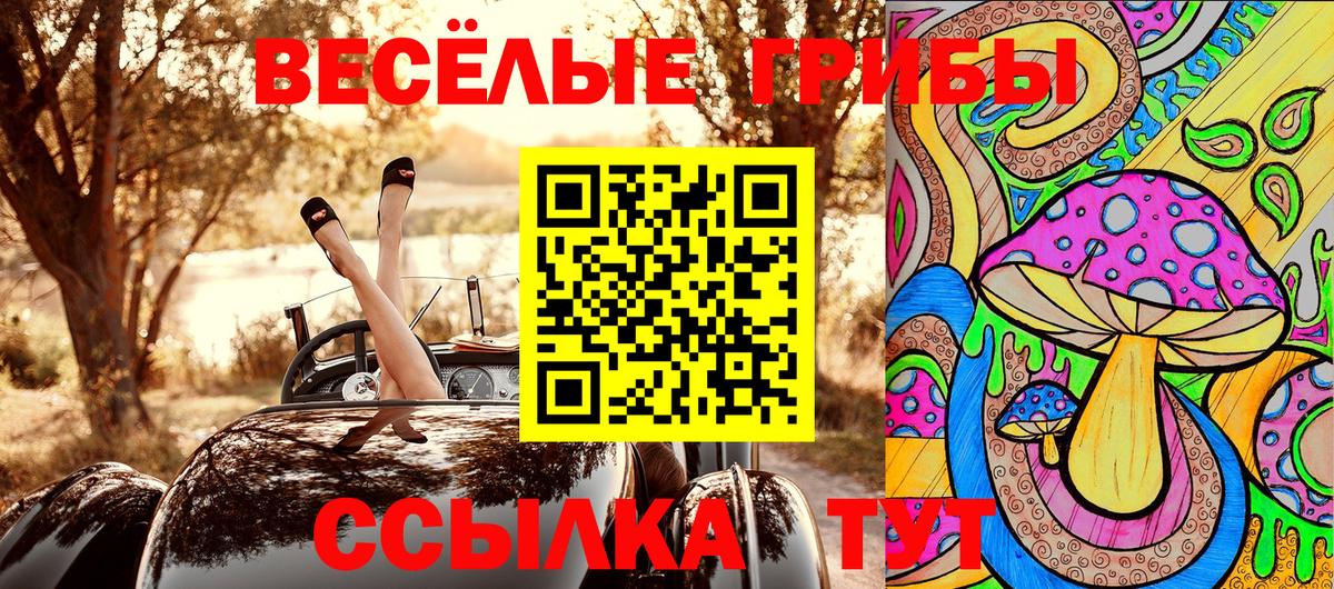 Псилоцибиновые грибы MAGIC MUSHROOMS  где купить наркотик  Алатырь  Псилоцибиновые грибы MAGIC MUSHROOMS  Вход с VPN 