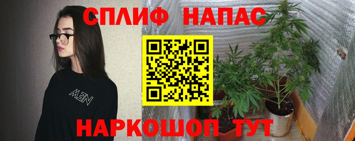 Конопля ГИДРОПОН  МАРИХУАНА конопля  Вход с VPN  Алатырь 